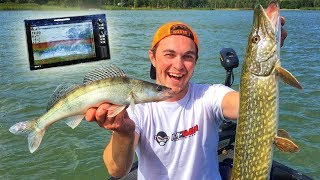 CATCH MORE FISH using Electronics - Perch, Pike, Zander and Roach on lures