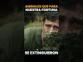 Animales Que Ya No Existen