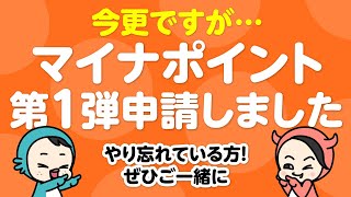 【マイナポイント第１弾】最高5000ポイントやっとこさ申請してみた