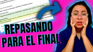 Practicamos CHOICES de FINALES 🤯