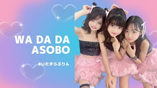 Prank Pudding | WA DA DA（Kep1er）・ASOBO（NiziU）| 東京アイドル劇場 ダンチャレ 2023.9.3