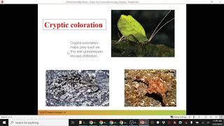 Bio 1130: Chp 52 Community Ecology part 2