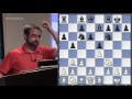 The Ruy Lopez, Breyer Variation - Chess Openings Explained