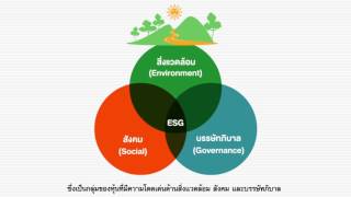 หุ้นยั่งยืนในเมืองไทยมีหรือยัง : Thailand Sustainability Investment