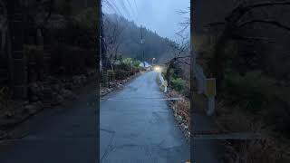 【奥武蔵 吾野】不動三滝/高山不動尊に至る道 2025.2.2 #river #valley #forest