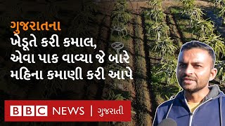 Arvalli : અંજીર સાથે આ ખેડૂતે અન્ય પાકોની ખેતી કરીને બારેમાસ કમાણીની પદ્ધતિ કેવી રીતે શોધી?