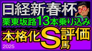 【日経新春杯2025予想・有力馬解説・外厩】栗東坂路13本乗り込み本格化S評価馬！ヴェルトライゼンデ、ヴェローチェエラ、ホールネス、メイショウタバルなど参戦。