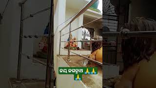 ତୁ ବଡ଼ ଠାକୁର ନାଁ ଠକ୍ ଠାକୁର ଜୟ ଜଗନ୍ନାଥ 🙏🙏 youtube short viral song please subscribe kar