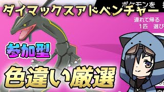 【禁止伝説回収】みんなでダイマックスアドベンチャーして色厳選するゾ【ポケモン剣盾/猫乃ソラ】