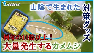 【例年の10倍以上！大量発生するカメムシ】直接触れて駆除するのはイヤ…　そんな人におススメ！山陰の企業から生まれたアイデア商品