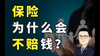 【牛先森避坑指南】保险这不赔那不赔？没错！牛先森深度解析，保险理赔为什么这么难。