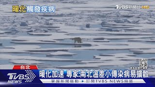 地球暖化危機! 高溫恐讓傳染病擴散到高緯度區域｜十點不一樣20220909