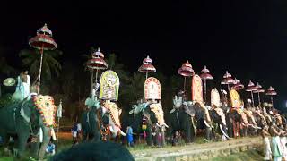 Thrikovil pooram kudamattom