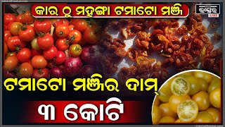 କାର ଠୁ ମହଙ୍ଗା ଟମାଟୋ ମଞ୍ଜି... ଗୋଟେ କେଜି ଟମାଟୋ ମଞ୍ଜିର ଦାମ ୩ କୋଟି ଟଙ୍କା...