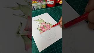 How To Draw Dragon Fruit | colour pencil | #shorts
