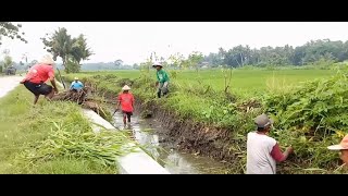 Profil Dusun Gunturan, Triharjo, Pandak, Bantul