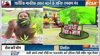 कैसे लगाएं कनेर का पौधा (Oleander) ,क्या हैं इसके लाभ  || Swami Ramdev