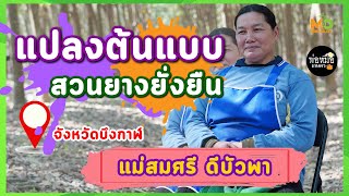 แปลงต้นแบบสวนยางยั่งยืน EP.17 คุณสมศรี ดีบัวพา