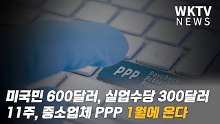 미국민 600달러, 실업수당 300달러 11주, 중소업체 PPP 1월에 온다