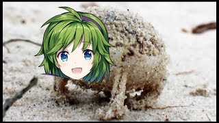 Fire Emblem Heroes Nino in a nutshell