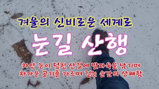 눈길산행 : 겨울의 신비로운 세계로