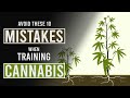 10 Mistakes to Avoid When Training Cannabis Plants!