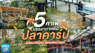 5 คาเฟ่บรรยากาศดีมีปลาคาร์ป นั่งชิลๆ ได้ทั้งวัน อัพเดตใหม่ 2020