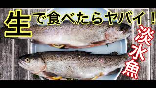 【驚きの雑学その24】淡水魚を生で食べたらヤバイです・・