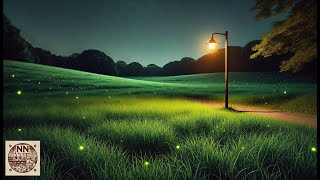 ASMR Midnight countryside village sound effect - quiet | cicadas cry