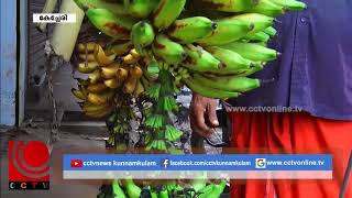 കാഴ്ച്ചയുടെ വിരുന്നൊരുക്കി വ്യത്യസ്തമായ വാഴക്കുല.