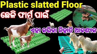 ନୂଆ ଛେଳି ଫାର୍ମ କରୁଥିଲେ Plastic slatted floor ନିଶ୍ଚିତ ବ୍ୟବହାର କରନ୍ତୁ | plastic floor  for Goat farm