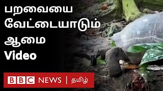 பறவையை வேட்டையாடி திண்ணும் ஆமை - முதன்முறையாக பதிவான Video