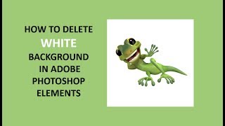 How To Remove White Background Photoshop Elements