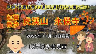 【紅葉散歩】多治見市の虎渓山永保寺へ行ってきました　還暦夫婦ナオユミのハイキングへ行こう