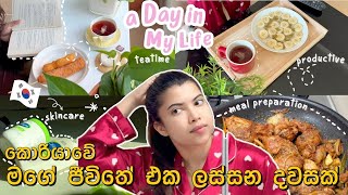 කොරියාවේ මගේ ජීවිතේ එක ලස්සන දවසක්/a day in my life Sinhala/meal preparation/cleaning/productive