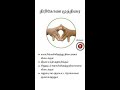 திரிகோண முத்திரை thirigona mudra shorts youtubeshorts mudra yogapractice