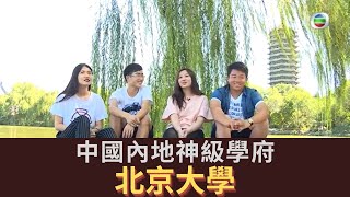 中國神級學府北京大學的讀書氛圍和環境到底是如何的？｜升學無疆界｜中國升學 ​| 海外升學｜TVB 親子節目 | 爸媽必看