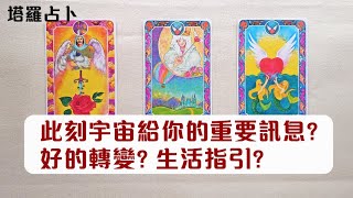 蘇晴塔羅🔮 此刻宇宙給你的重要訊息? ｜好的轉變｜生活指引｜無時間限制 🪐