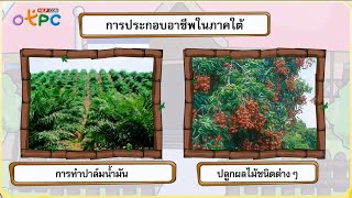 การประกอบอาชีพในแต่ละภาค - สื่อการเรียนการสอน สังคม ป.3