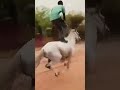 #funny #vadivelu #memes #reels #viral #comedy #happy #funnyvideo #fun #reels #shorts #short