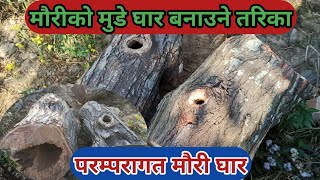 सित्तैमा मौरी पाउने उपाय | मौरीको मुडे घार बनाउने तरिका | Bee keeping in Nepal | honey bee business