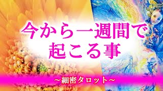 タロット占い🔮今から1週間で起こる事✨怖いほど当たる！？🥰見たその時がタイミング💗オラクルカードリーディング💛