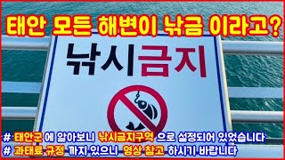 태안 의 모든 해수욕장 이 낚시금지 구역 이라고? - 태안 해수욕장 에서 낚시를 하면 과태료 를 물수 있다고 해서 직접 알아 봤습니다