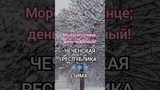 20 февраля 2025 Настоящая ЗИМА в Чечне ❄️ #русскиевчечне #чечня #грозный #гудермес #жизнь