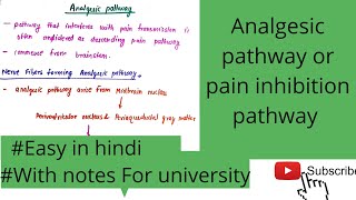 Analgesic pathway/ Pain inhibition pathway