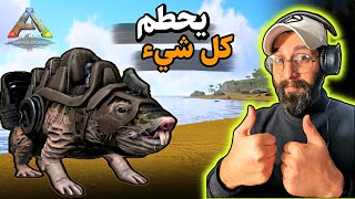 ارك موبايل مود #9 | سلسلة ترويض | الفأر العملاق الذي يحطم كل شيء |ark ulitmate aurvival mobile