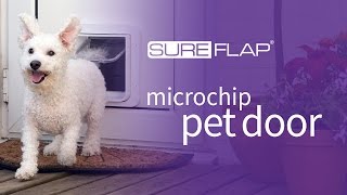 Introducing the SureFlap Microchip Pet Door