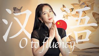 How to learn Mandarin Chinese from 0-fluency ? (Resources, Methods and Study Plans)
