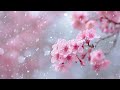 Morning Rain Relax Music ★ Serene Meditative Ambient ★ Calming Mediation Healing ★ Peaceful Night ✨