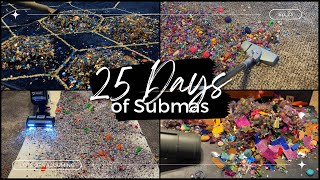 🌺 25 Days Of Submas 🌺 | Episode 23 | Lots Of Vacuuming